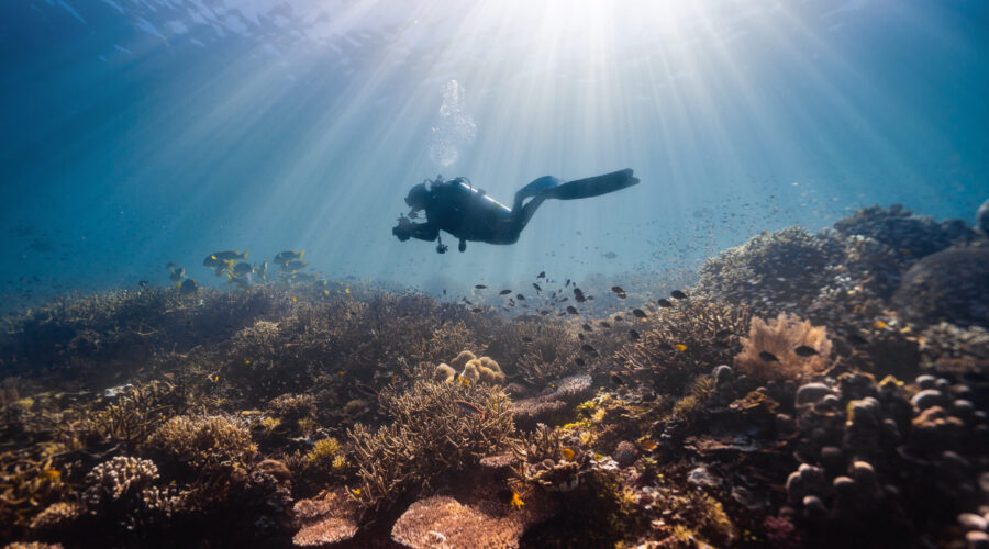 Exploring Fiji's Stunning Underwater World. | Scuba diving in Fiji