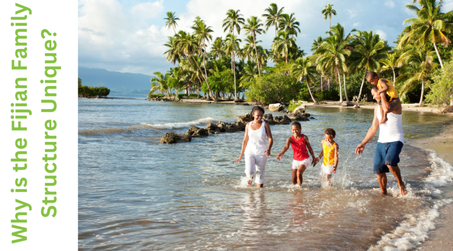 Why is the Fijian Family Structure Unique?