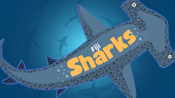 Fiji Sharks