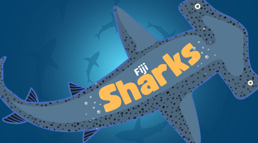 Shark Attacks in Fiji – What you should know about the myth and the truth