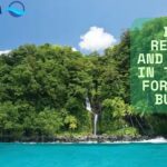 view of Taveuni Island Fiji