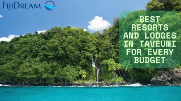 view of Taveuni Island Fiji