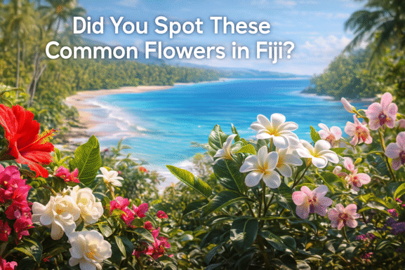 Common Flowers in Fiji