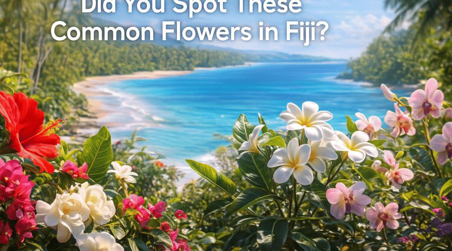 Did You Spot These Common Flowers in Fiji?