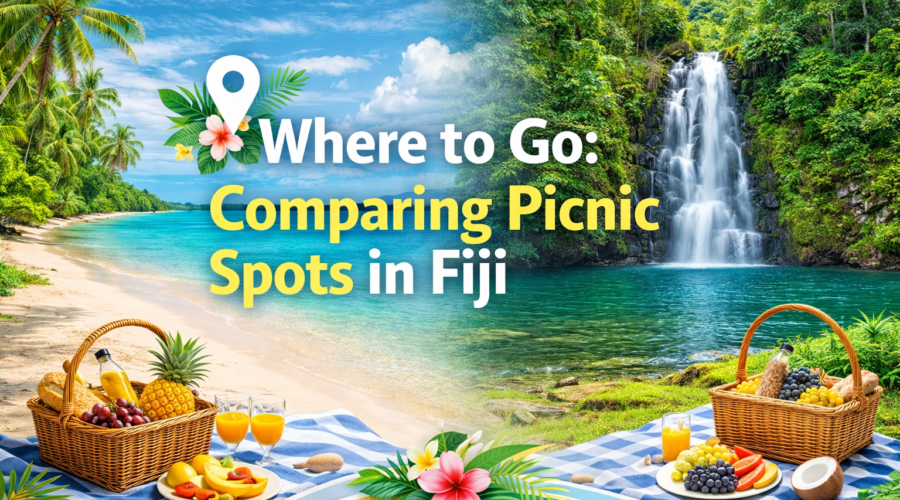Where to Go: Comparing Picnic Spots in Fiji