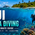 Fiji Scuba Diving The Ultimate Guide for Beginners & Experienced Divers