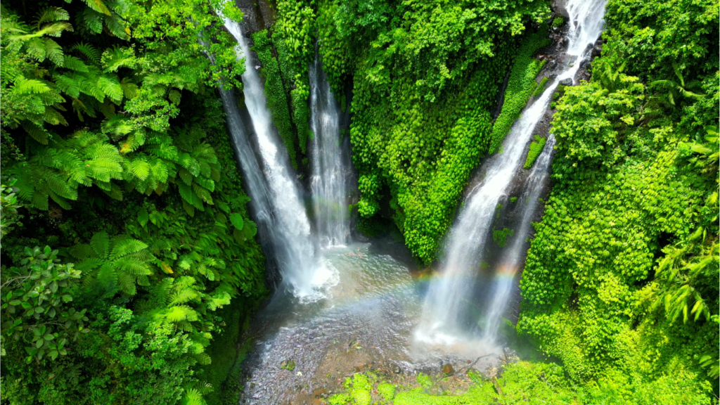Fiji Hiking