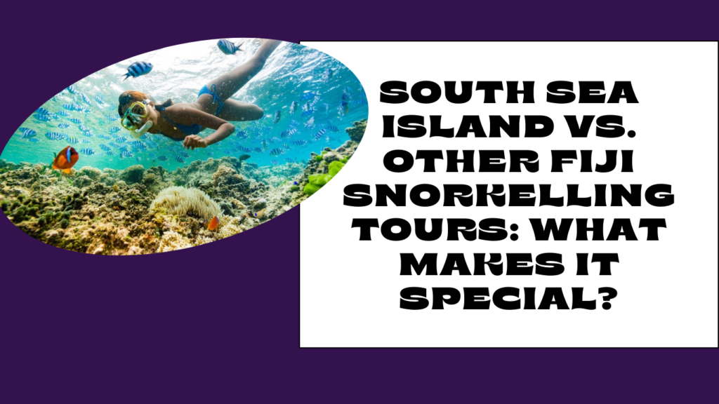 South Sea Island Fiji snorkelling
