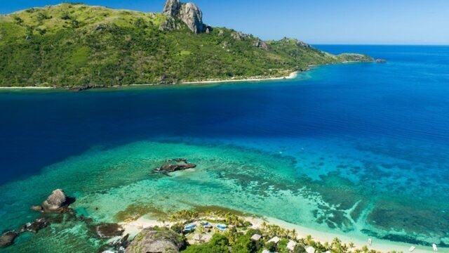 Ultimate Encounters: Snorkel with Sharks