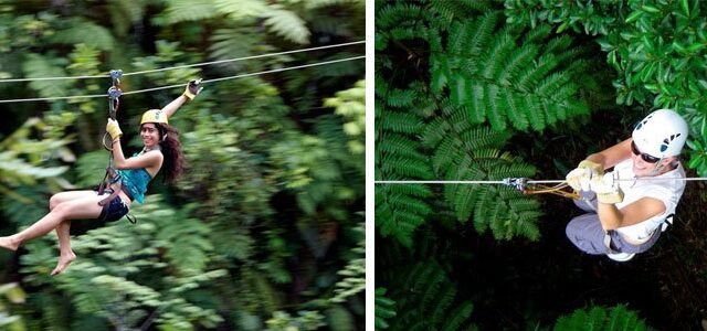 NADI ZIPLINE TOUR