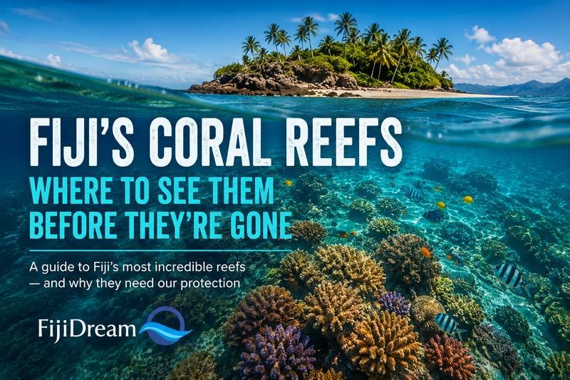Fiji's Coral Reefs Where to See Them Before They're Gone